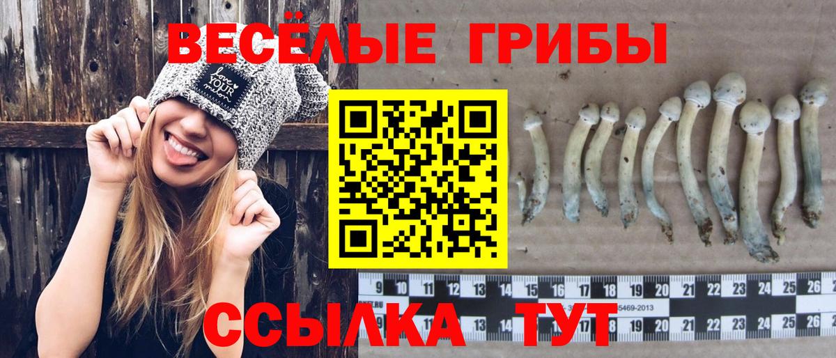 Галлюциногенные грибы мицелий  Вход с VPN  где купить   Обь 