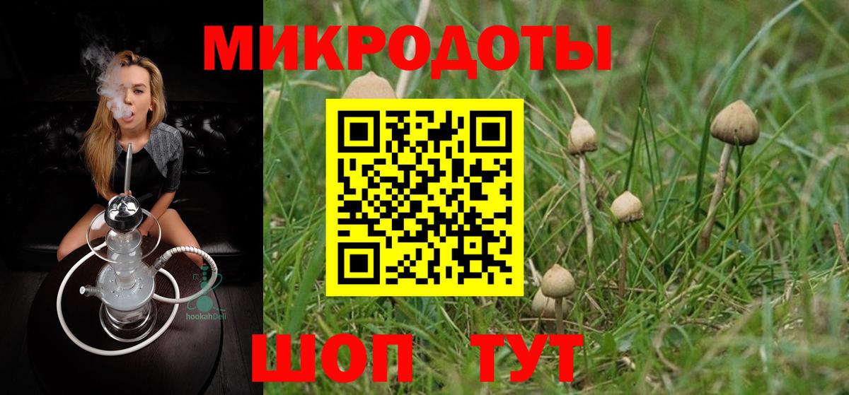 Псилоцибиновые грибы MAGIC MUSHROOMS Обь