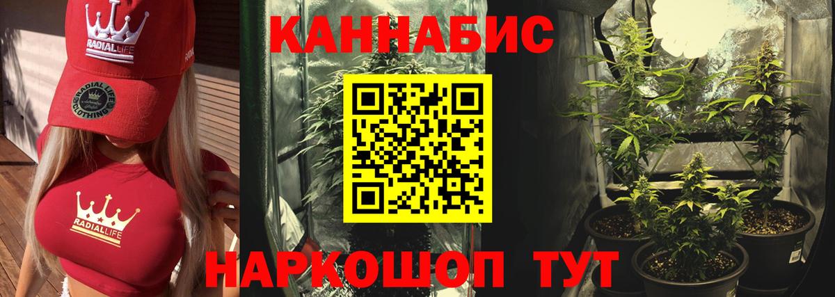 Обь  Канабис сатива  Вход с VPN  МАРИХУАНА сатива  Каннабис планчик  Бошки Шишки Amnesia 